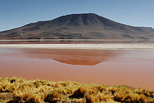 Picture Uyuni Salt Flats Tours (3 Days/2 Nights), Bolivia. Tours en , Bolivia